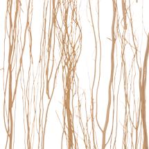 thicket natural